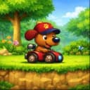 Animal Race